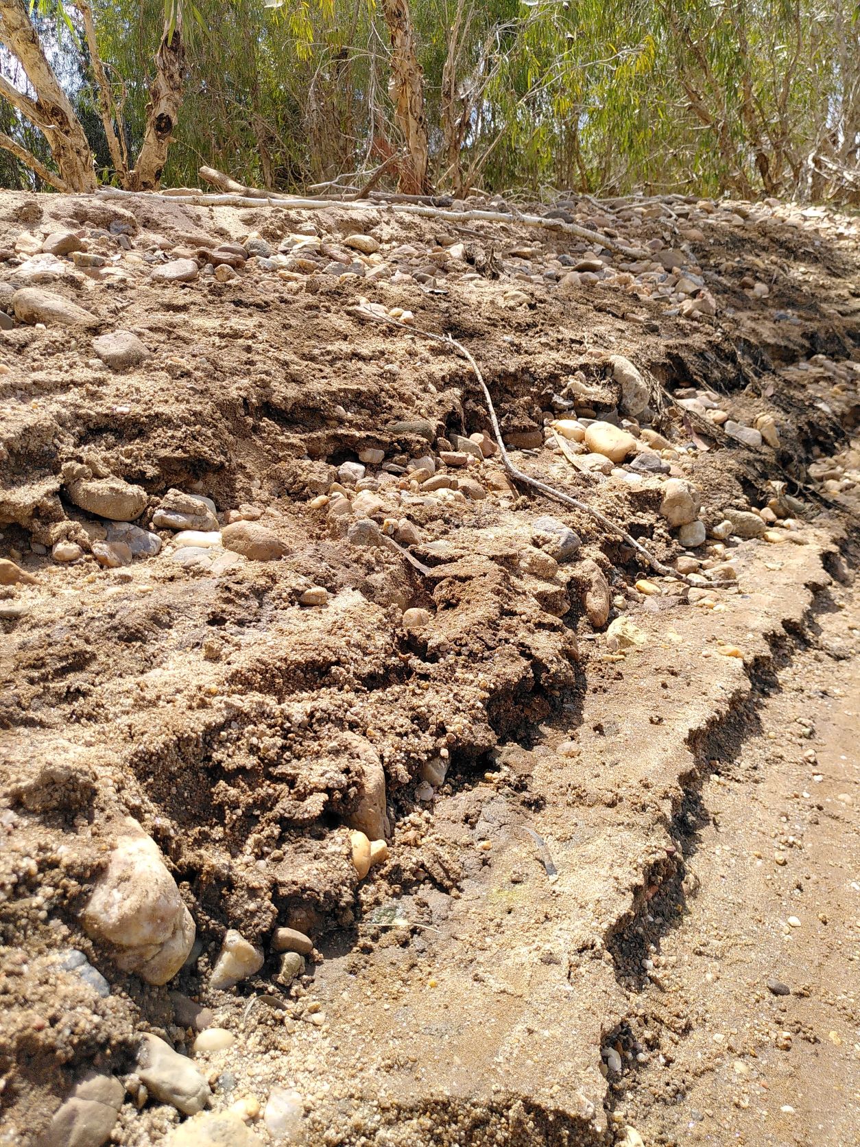 Layered deposition of sand. Photo taken near Riverview 3 April 2022